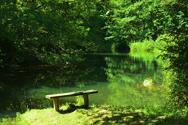 bar en restaurant profiteert van uw 3-sterren camping in de Ardèche